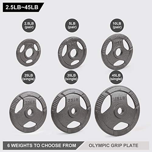 LIONSCOOL 2-Inch Olympic Grip Plate for Strength Training, Weightlifting and Bodybuilding