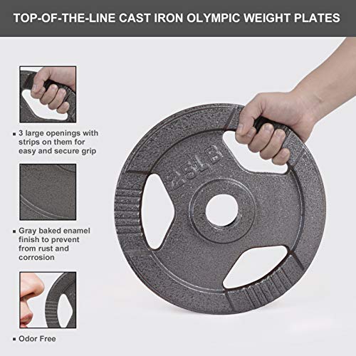 LIONSCOOL 2-Inch Olympic Grip Plate for Strength Training, Weightlifting and Bodybuilding